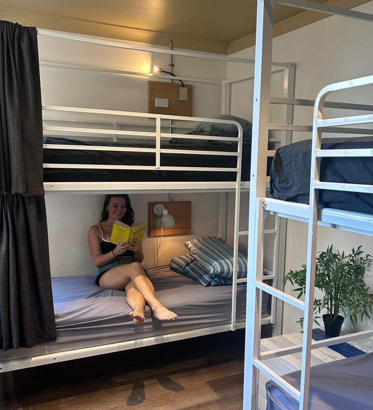 Mad Monkey Hostel Coogee Beach Randwick Exteriör bild